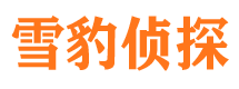 定陶外遇出轨调查取证